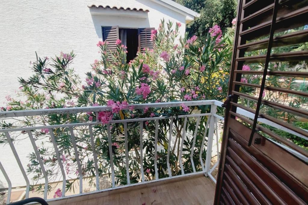 Casa Blanca, Biograd na Moru Apartment Luaran gambar